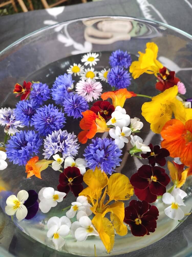 kruiden-in-de-circulaire-voedseltuin