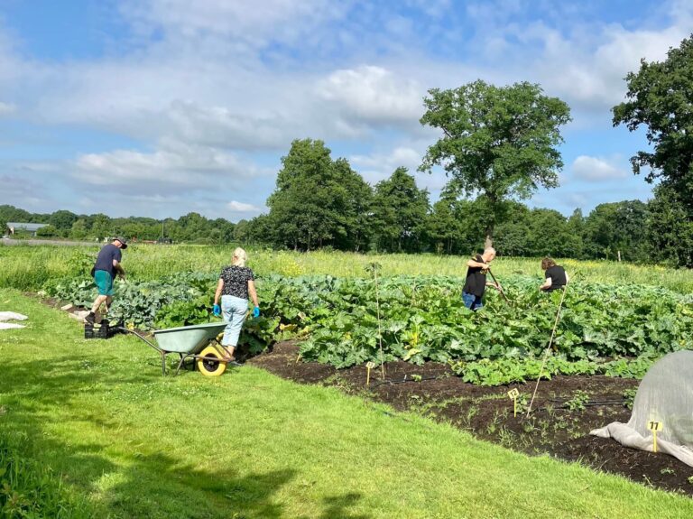 van-reststroom-tot-gemeenschap-circulaire-voedseltuin-in-buurse