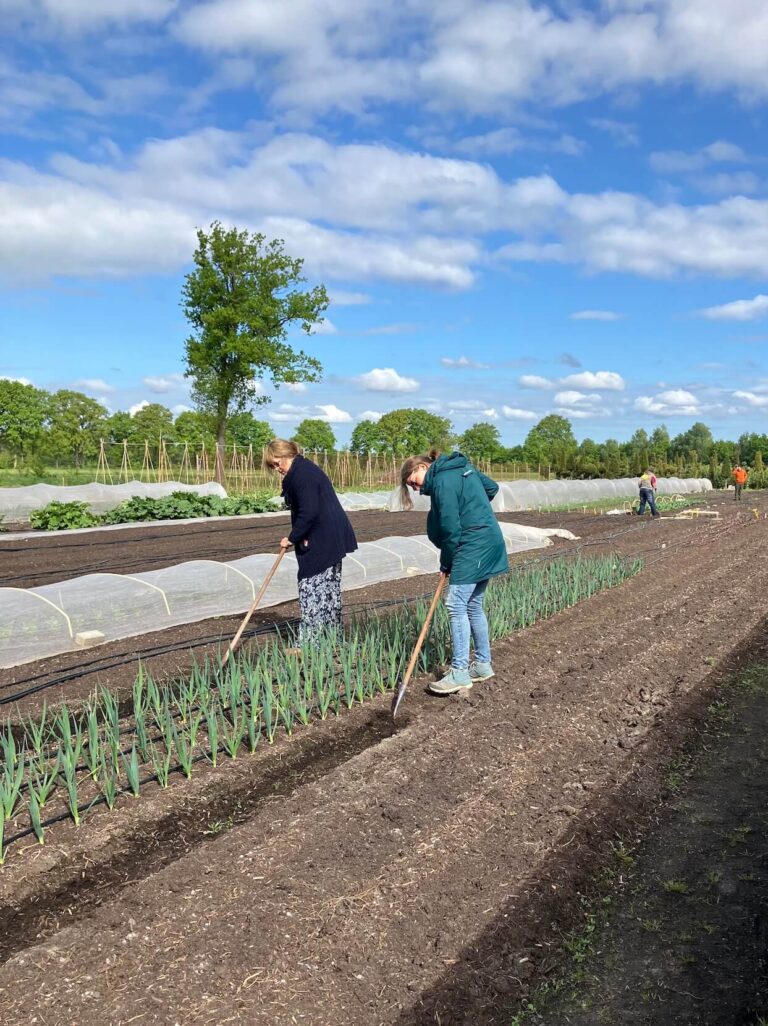 vrijwilligers-maken-het-verschil